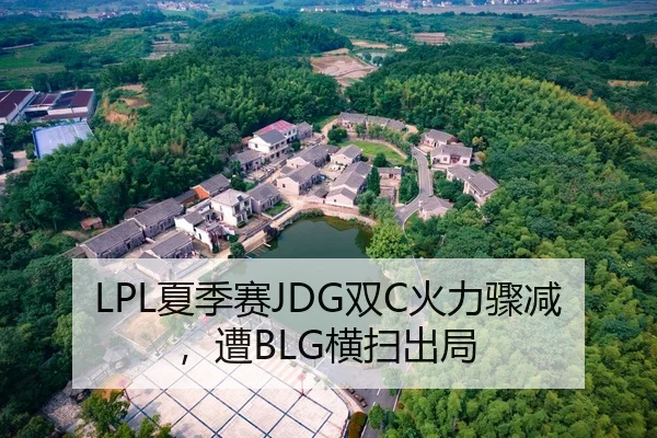 LPL夏季赛JDG双C火力骤减，遭BLG横扫出局