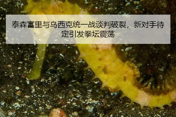 tai-sen-fu-li-yu-wu-xi-ke-tong-yi-zhan-tan-pan-po-lie-xin-dui-shou-dai-ding-yin-fa-quan-tan-zhen-dang-3-152.jpg