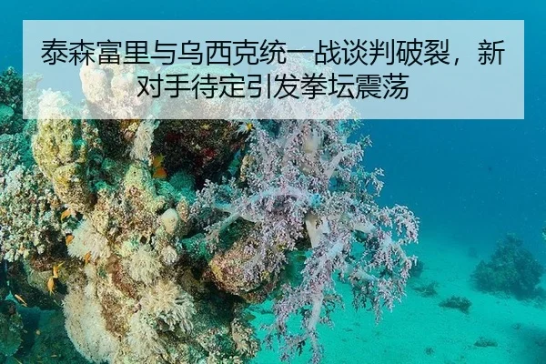 泰森富里与乌西克统一战谈判破裂，新对手待定引发拳坛震荡